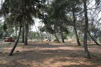 Enlarge photo 18