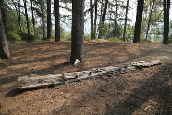 Enlarge photo 20