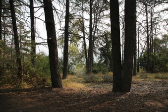 Enlarge photo 21