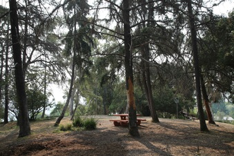 Enlarge photo 23