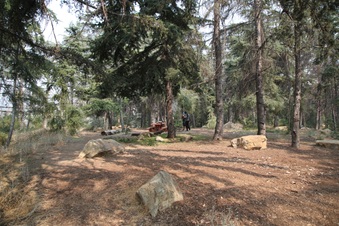 Enlarge photo 24