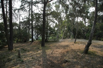 Enlarge photo 25
