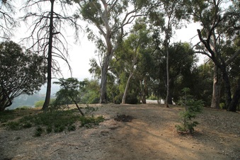 Enlarge photo 26