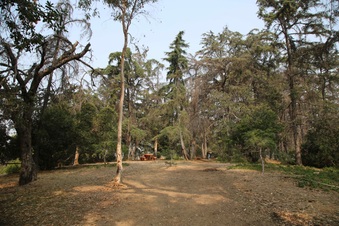 Enlarge photo 27