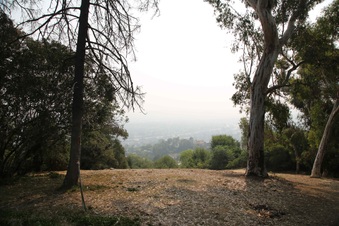 Enlarge photo 28
