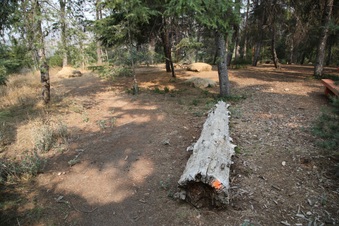 Enlarge photo 31