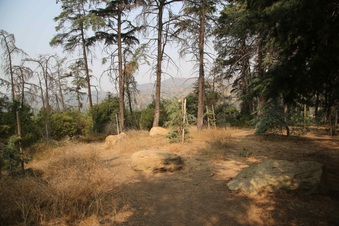 Enlarge photo 32