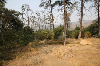Enlarge photo 33
