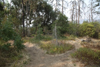 Enlarge photo 34