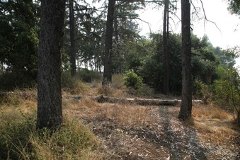 Enlarge photo 35