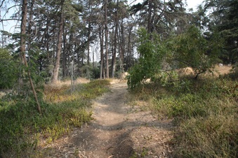 Enlarge photo 36
