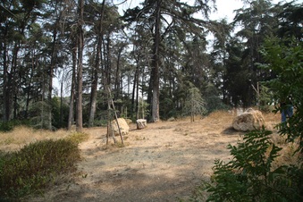 Enlarge photo 38