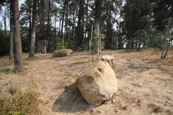 Enlarge photo 39