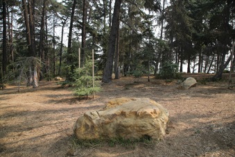 Enlarge photo 40