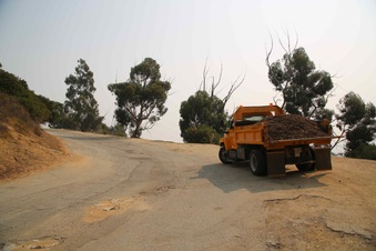 Enlarge photo 42