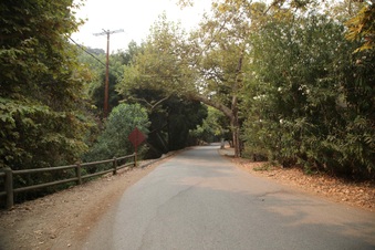 Enlarge photo 5
