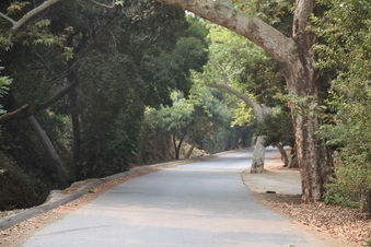 Enlarge photo 6