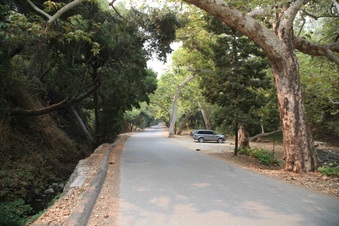 Enlarge photo 7