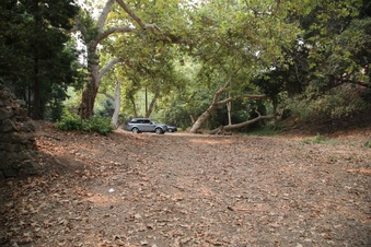 Enlarge photo 21