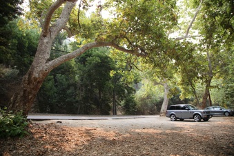 Enlarge photo 22