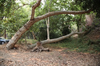 Enlarge photo 23