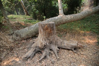Enlarge photo 24