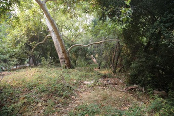 Enlarge photo 27