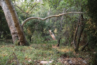 Enlarge photo 28