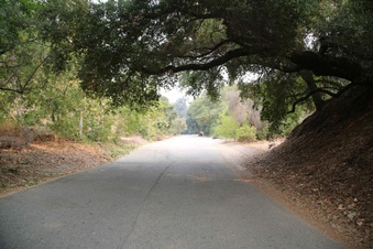 Enlarge photo 29