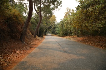 Enlarge photo 30