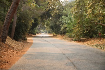 Enlarge photo 31