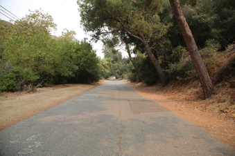 Enlarge photo 32