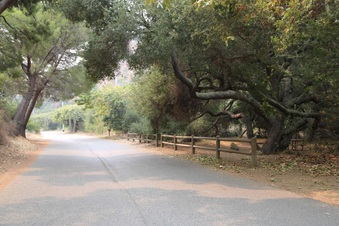 Enlarge photo 33