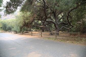 Enlarge photo 34