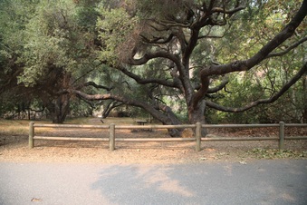 Enlarge photo 35