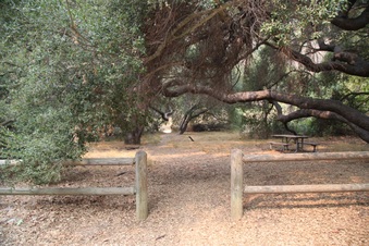 Enlarge photo 36
