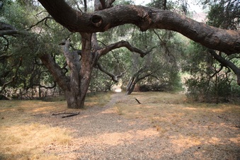 Enlarge photo 37
