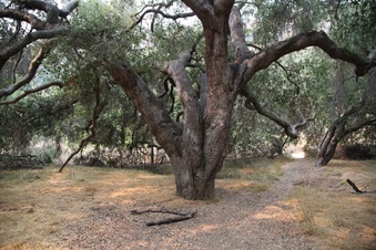 Enlarge photo 38