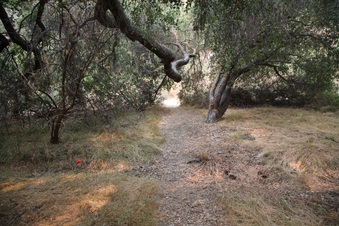 Enlarge photo 39