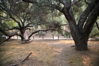 Enlarge photo 40