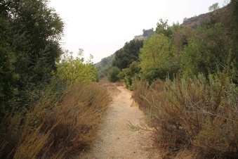 Enlarge photo 41