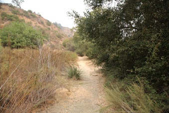 Enlarge photo 42