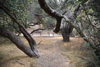 Enlarge photo 43