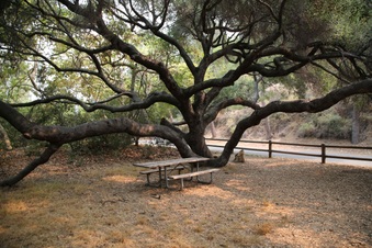 Enlarge photo 44