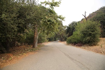 Enlarge photo 46