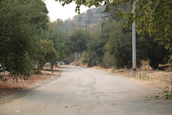 Enlarge photo 48