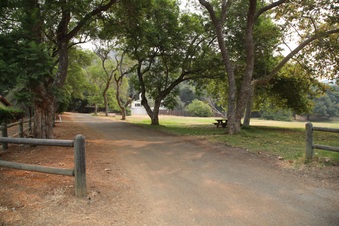 Enlarge photo 51