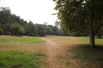Enlarge photo 54