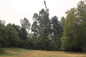 Enlarge photo 58