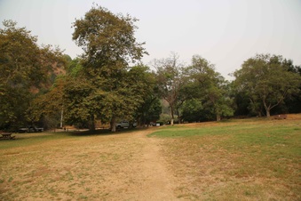 Enlarge photo 59